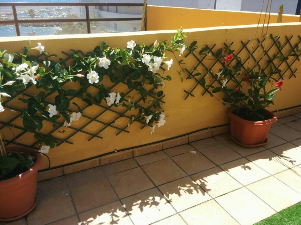 431 - Edif Aguamarina - Vacation Rental Home In The Coast Line Of Golf Del Sur ซานมิเกลเดียโบนา ภายนอก รูปภาพ